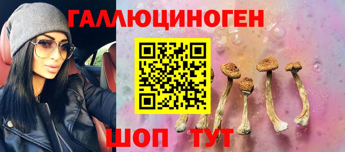Сунжа  Галлюциногенные грибы мицелий  Вход с VPN  Галлюциногенные грибы GOLDEN TEACHER 